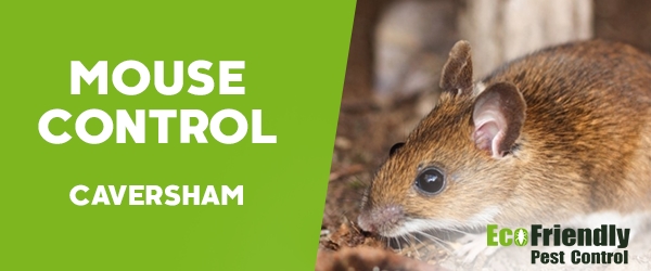 Mouse Control  Caversham 
