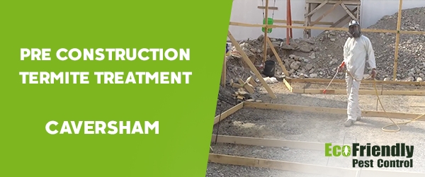 Pre Construction Termite Treatment  Caversham 