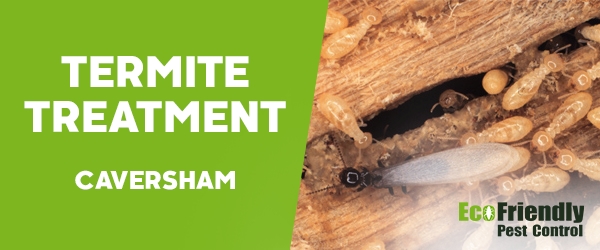Termite Control  Caversham 