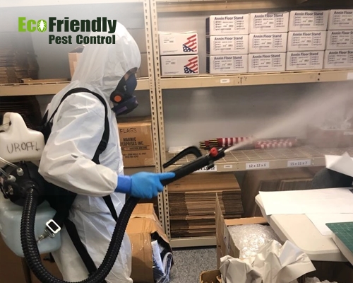 Pest Control Bellevue 