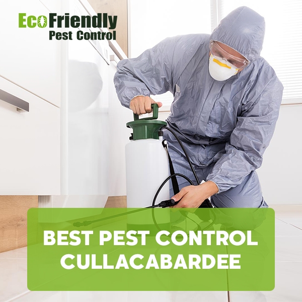 Best Pest Control Cullacabardee 