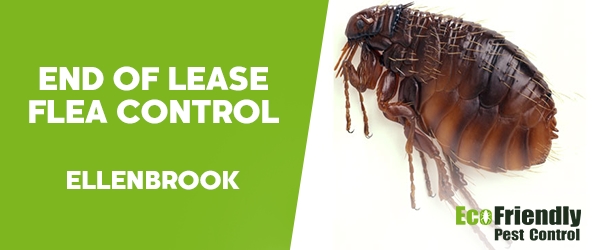 End of Lease Flea Control Ellenbrook 