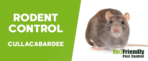 Rodent Treatment Cullacabardee 