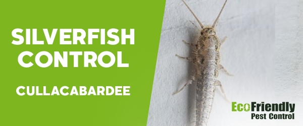 Silverfish Control Cullacabardee 