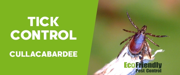Ticks Control Cullacabardee 