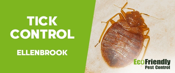 Ticks Control Ellenbrook 