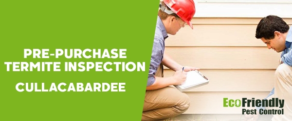 Pre-purchase Termite Inspection Cullacabardee 