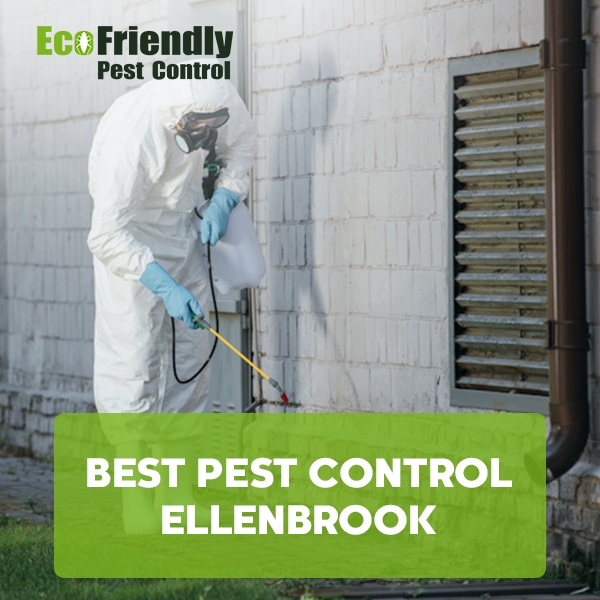 Best Pest Control Ellenbrook 