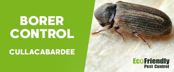 Borer Control Cullacabardee 