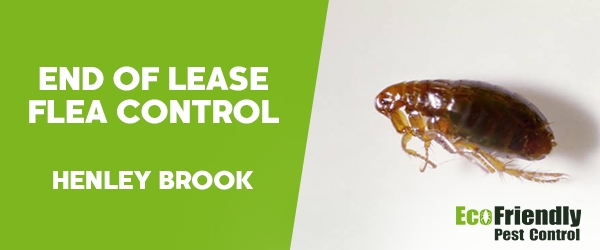 End of Lease Flea Control Henley Brook 