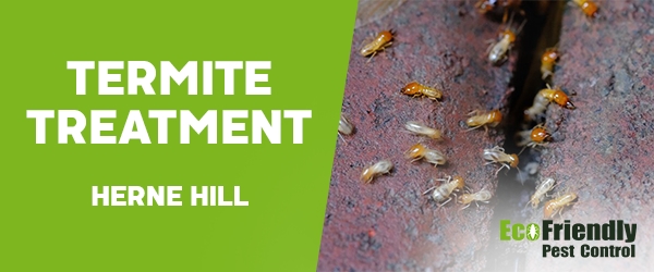 Termite Control Herne Hill 