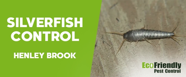 Silverfish Control Henley Brook 