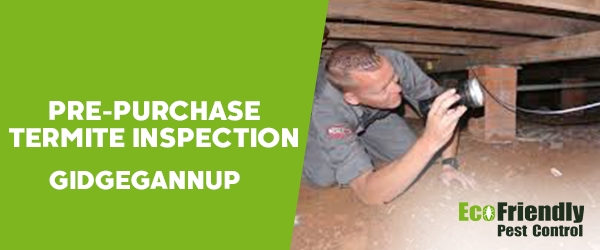 Pre-purchase Termite Inspection  Gidgegannup 