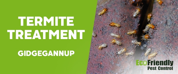 Termite Control  Gidgegannup 