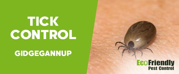 Ticks Control  Gidgegannup 