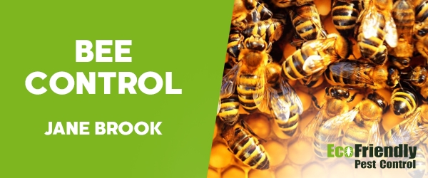 Bee Control Jane Brook 