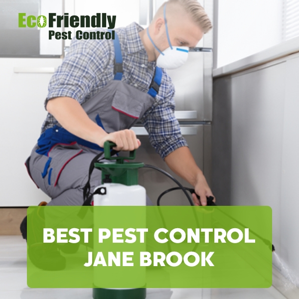 Best Pest Control Jane Brook 