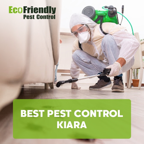 Best Pest Control  Kiara 