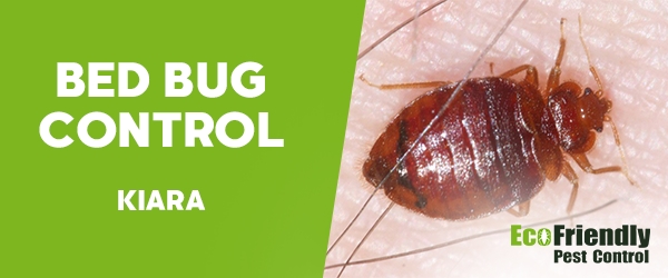 Bed Bug Control  Kiara 