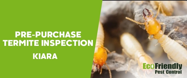 Pre-purchase Termite Inspection  Kiara 