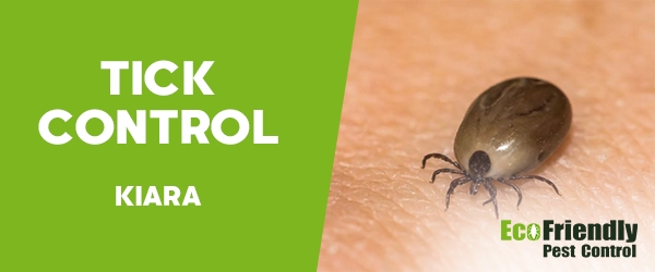 Ticks Control  Kiara 