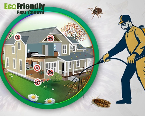 Pest Control Malaga