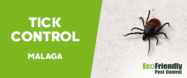 Pest Control Malaga