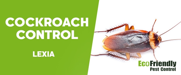 Cockroach Control Lexia  