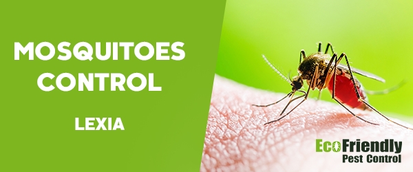 Mosquitoes Control Lexia 
