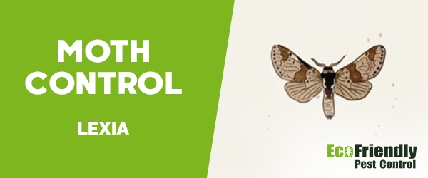 Moth Control Lexia 