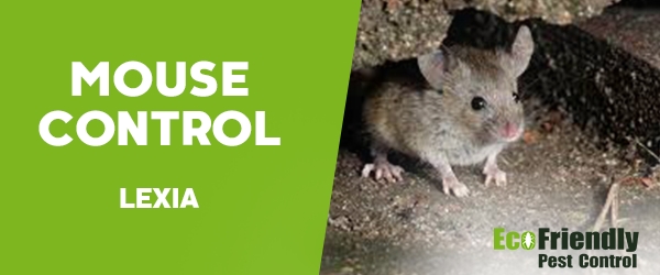 Mouse Control Lexia 