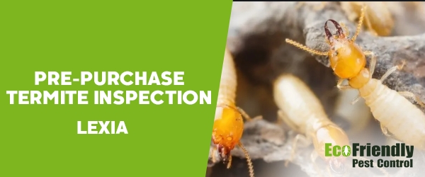 Pre-purchase Termite Inspection Lexia 