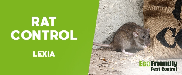 Rat Pest Control Lexia 