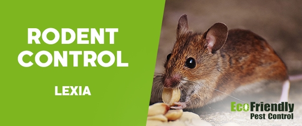 Rodent Treatment Lexia 