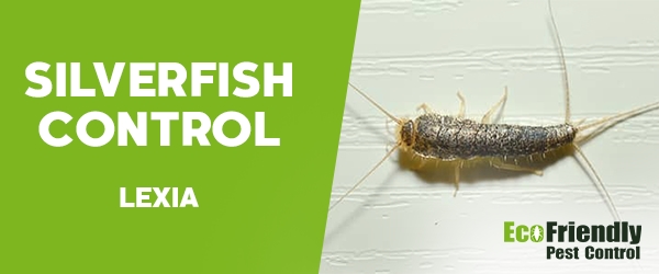 Silverfish Control Lexia 