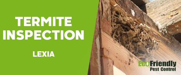 Termite Inspection Lexia 