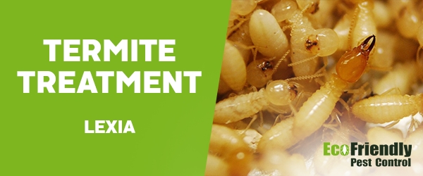 Termite Control Lexia 