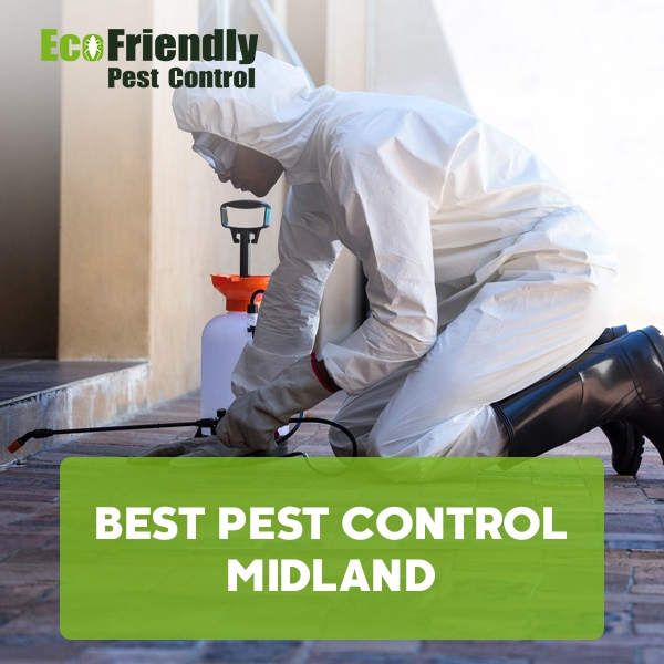 Best Pest Control Midland