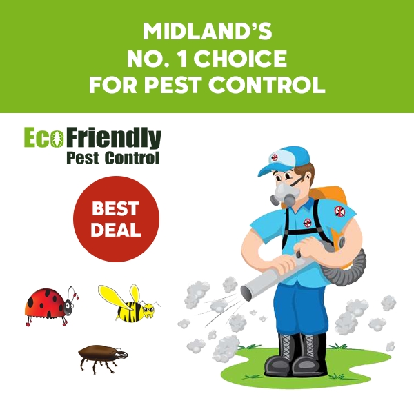 Pest Control Midland
