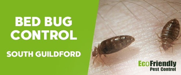 Bed Bug Control South Guildford 