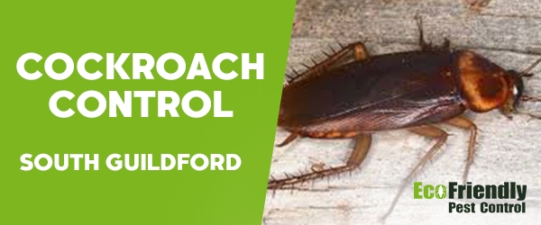 Cockroach Control South Guildford  