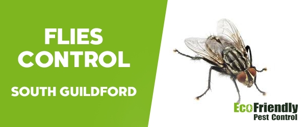 Flies Control South Guildford 