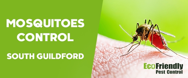 Mosquitoes Control South Guildford 