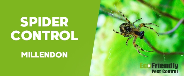 Spider Control Millendon 