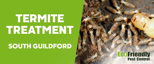 Termite Control South Guildford 