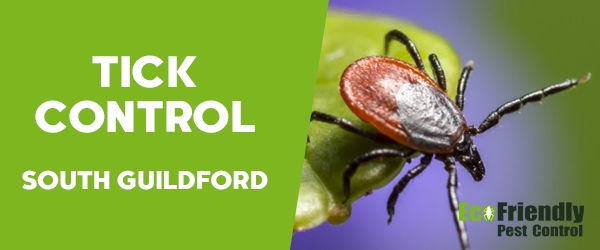 Ticks Control South Guildford 