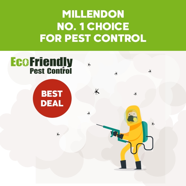 Pest Control Millendon 