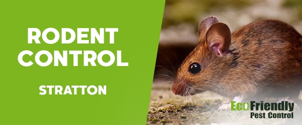 Rodent Treatment  Stratton 