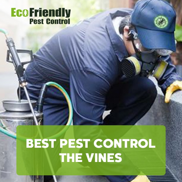 Best Pest Control The Vines 