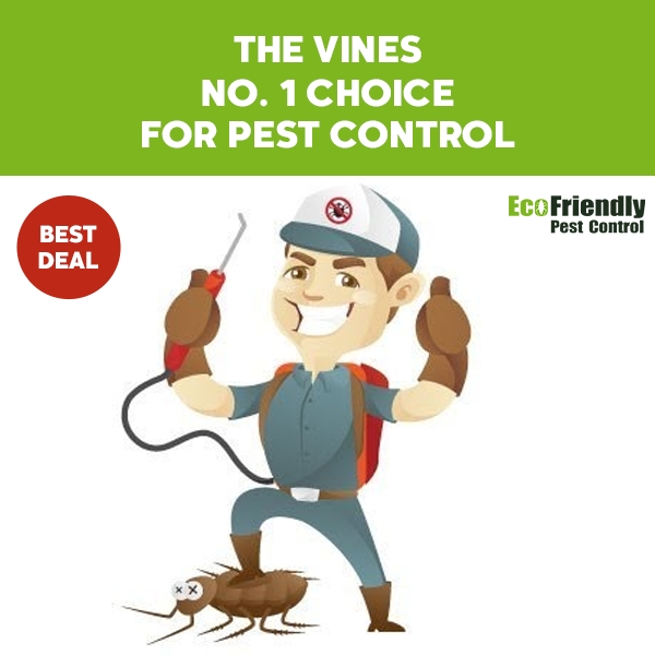 Pest Control The Vines 